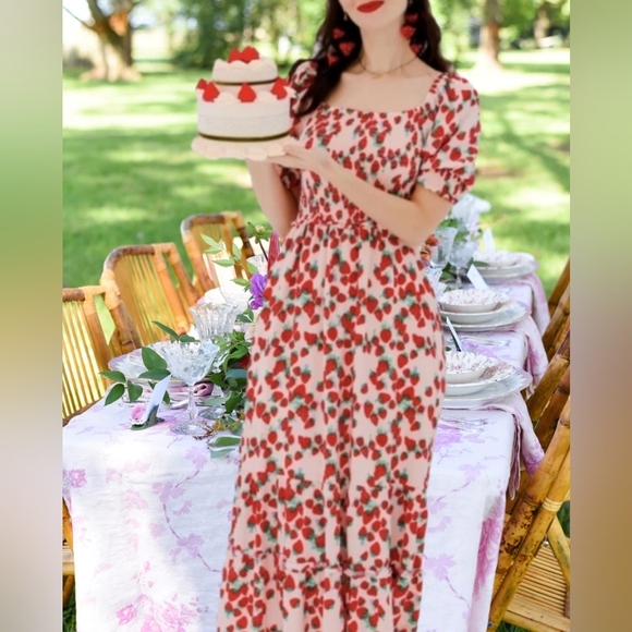 Betsey Johnson Strawberry Field Prairie Lined Maxi Dress Women Small Cottagecore - Picture 2 of 12